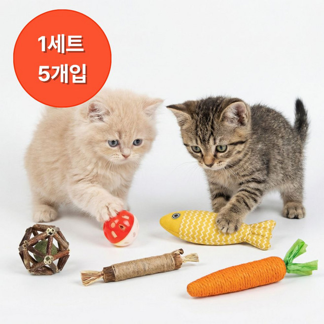 샤샤픽 이갈이 고양이 장난감 5종 세트, 1개