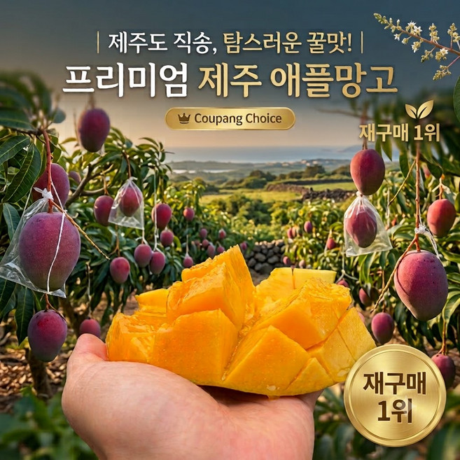 [재구매1위] 제주국내산 산지직송 프리미엄 애플망고, 1박스, 3kg(9-10과)