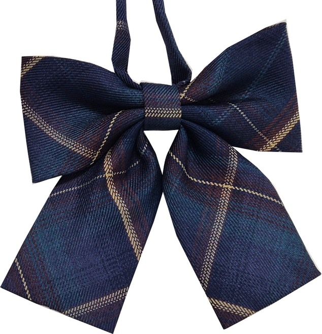 리본 타이 교복 체크 넥타이