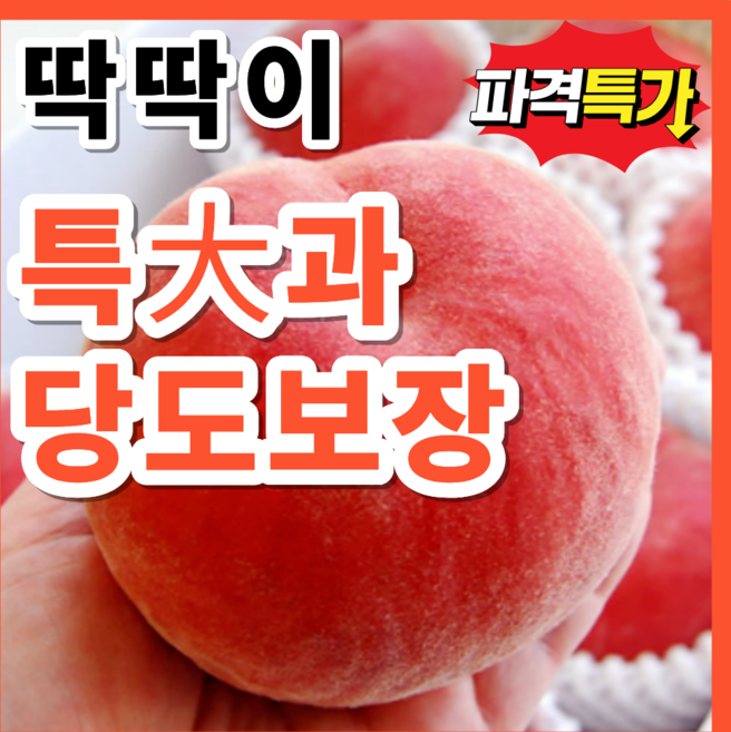 [첫출하특가] 아삭하고 향긋한 고당도선별 딱딱이복숭아, 1개, 2kg(대과)