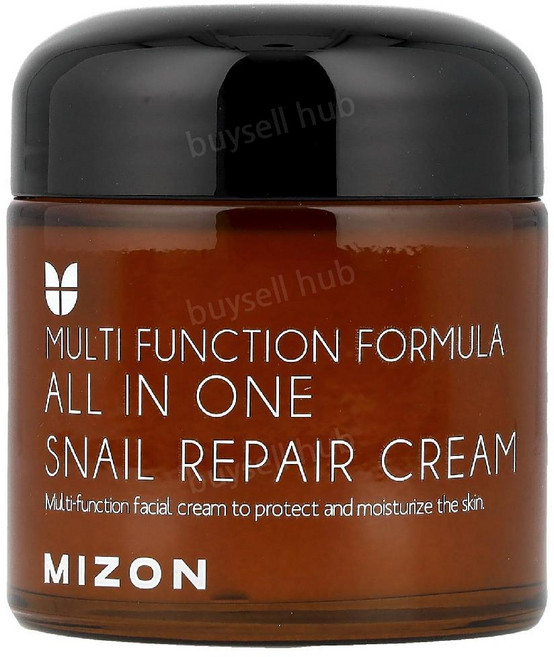 Mizon 올인원 스네일 리페어 크림 75ml 2개, 1개