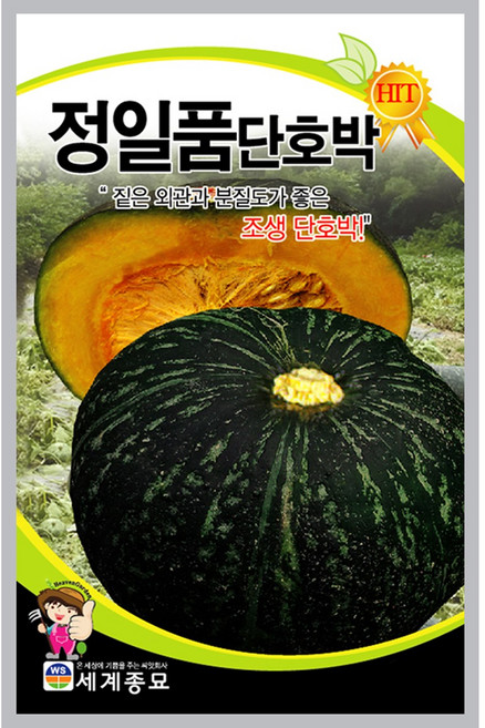 정일품단호박30립 씨앗 세계, 1개
