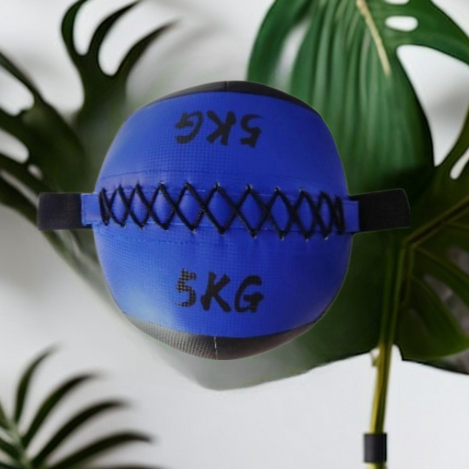 藥球 軟式藥球 雙把手藥球, 1個, 5kg