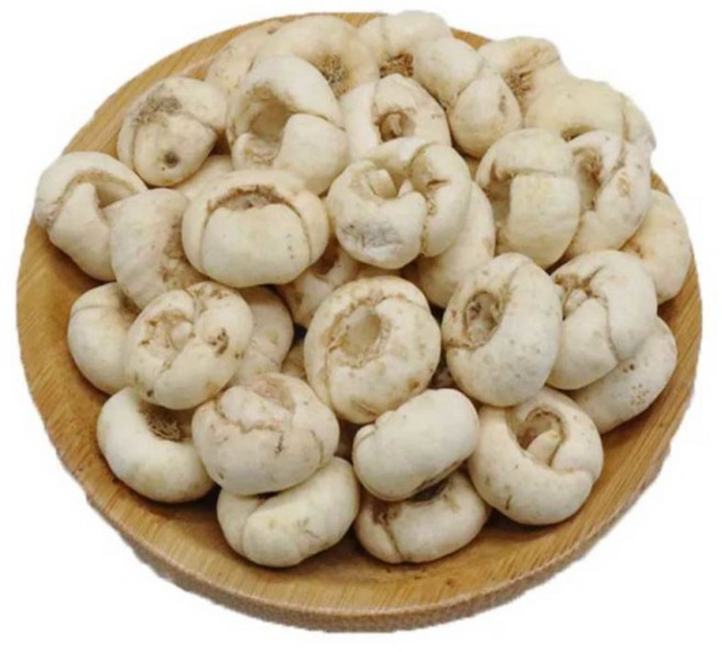 OKYAIOS 패모 야생 특급 천패모, 1개, 100g