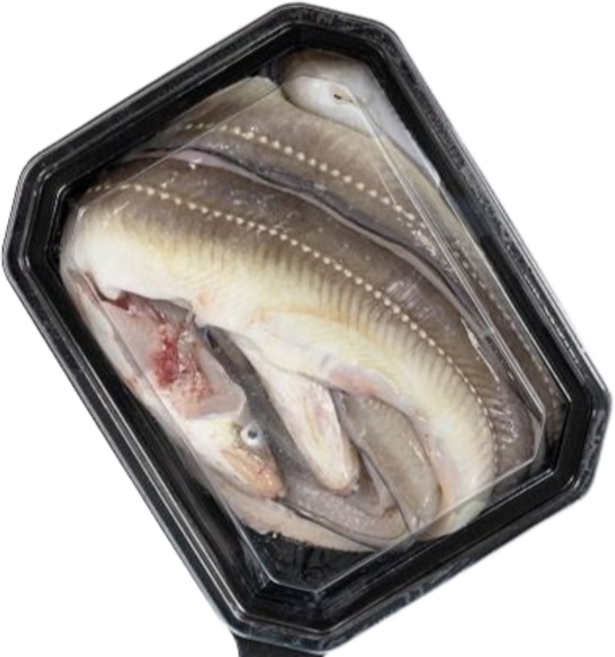통영 자연산 바다장어 특대 손질 장어 + 소스 2종, 1개, 2kg (4~6미 내외)