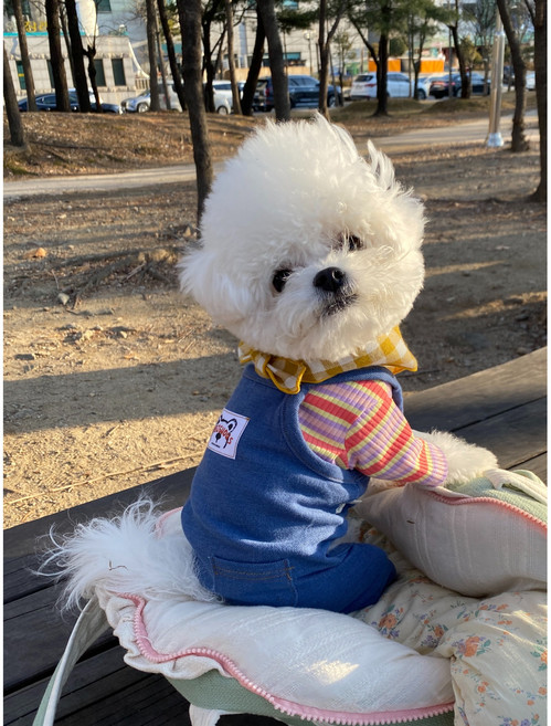 강아지옷 청 데님 오버롤 멜빵바지 강아지 바지S, 연청, 1