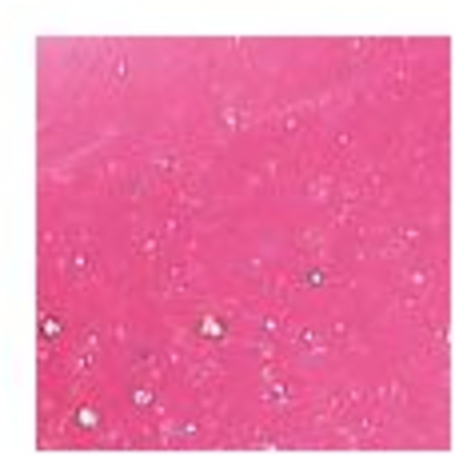 키핀터치 젤리 립 플럼퍼 틴트, 베리크러쉬, 3.8ml, 1개