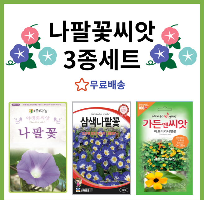나팔꽃씨앗 3종 세트 종자 씨 혼합 삼색 아프리카 검은눈의수잔 블랙아이드, 1개
