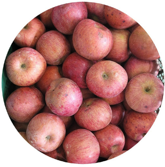 [초특가 사과] 경북 산지직송 가정용 주스용 못난이 사과, 5kg(랜덤), 1박스