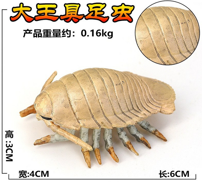 고대생물 해양동물 암모나이트 모형 피규어 앵무조개 A 어린이 과학 미니어쳐, AL, 1개