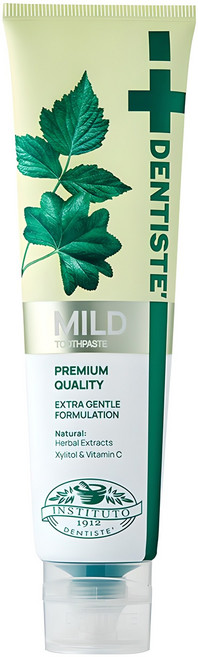 덴티스테 마일드 나이트타임 치약 튜브형, 160g, 1개