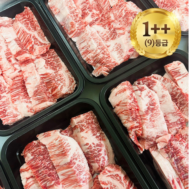 마장동 투뿔 한우 구이용 소고기 1++(9) 특수부위 업진살 제비추리 부채살 랜덤, 3개, 200g