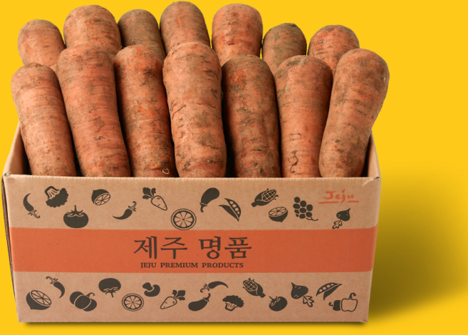더모닝제주 흙당근 중 구좌 제주 햇당근 산지직송, 1박스, 흙당근 (중) 9kg