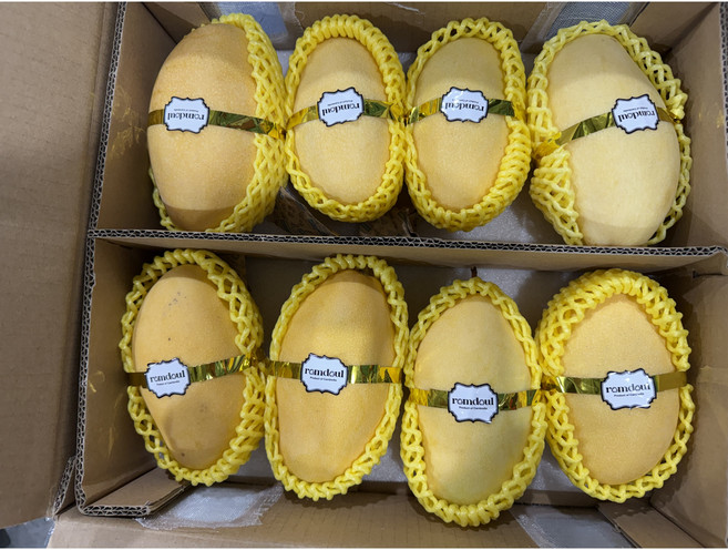 캄보디아망고/고당도골드망고/쫀득망고, 1박스, 4kg(8~12과)