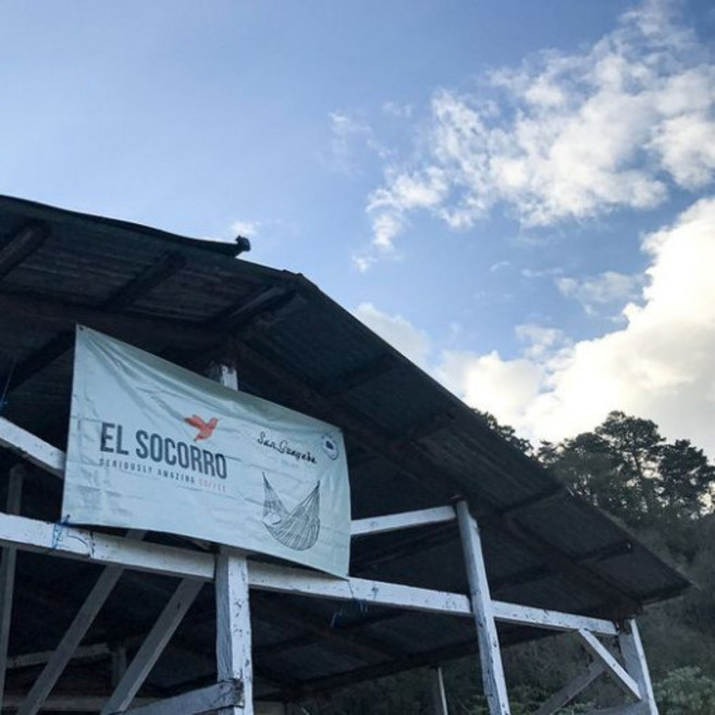 뉴로커피 싱글 오리진 - 과테말라 엘소코로 레드버본, 1개, 200g