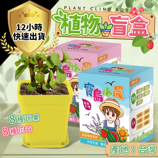 寶島小農 植物盲盒 種植盆栽, 1件, 花卉盲盒(紅色包裝), 花卉盲盒(紅色包裝)