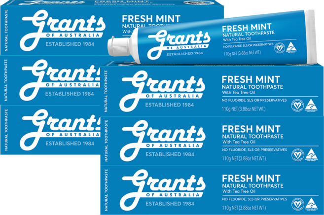 그란츠 후레시민트 치약, 110g, 6개