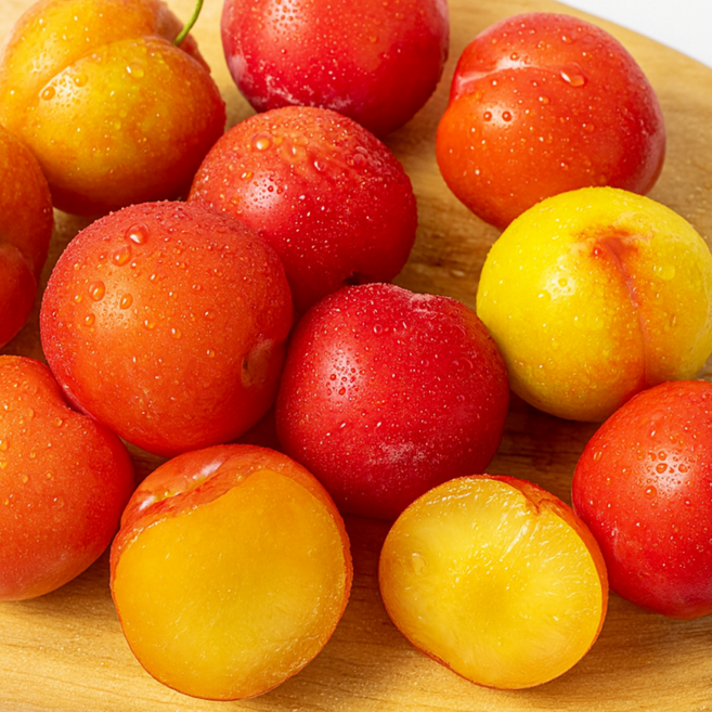 [고객후기1위] 도담/추희/후무사 고당도 자두 대과, 1개, 1kg(특)