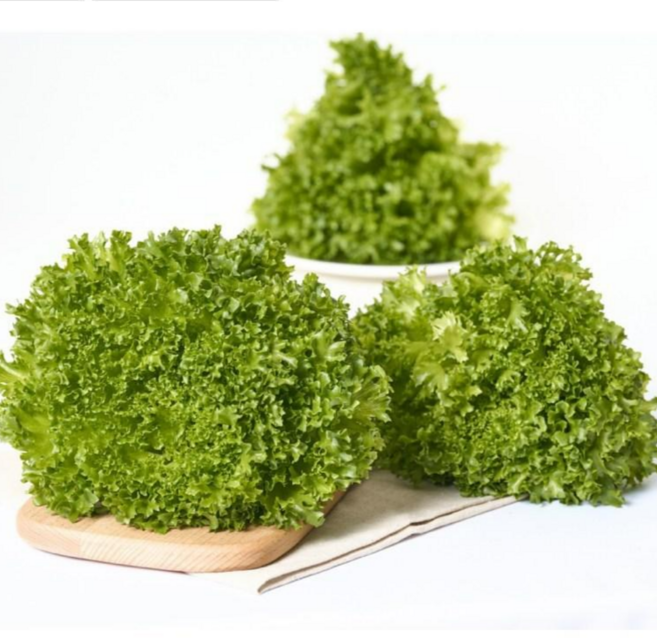 프릴아이스 3키로 샐러드용야채 유러피안샐러드야채 100% 무농약인증 쌈채소, 1박스, 3kg