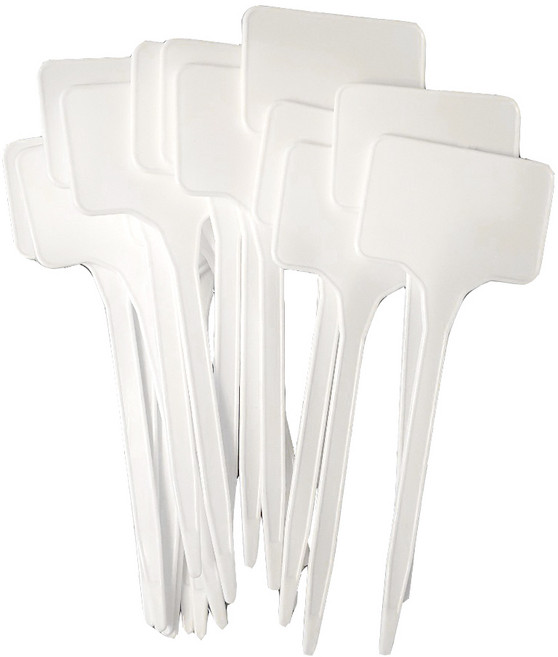 화분 식물 이름표 20P