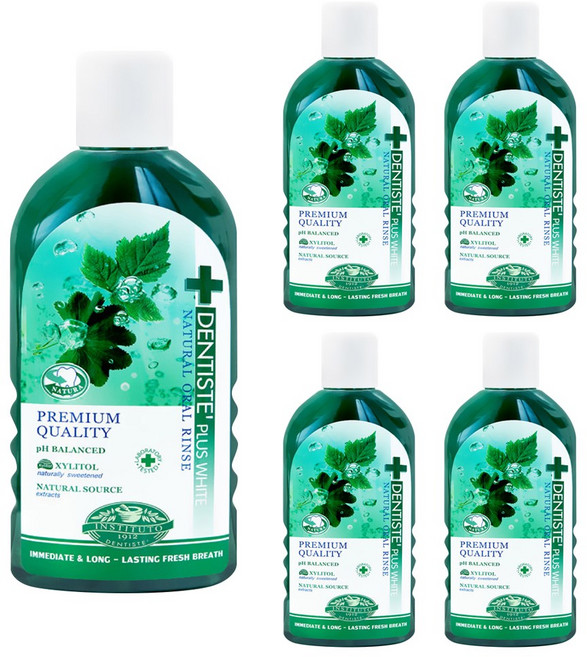 덴티스테 내츄럴 오랄린스 구강청결제, 700ml, 1, 5개