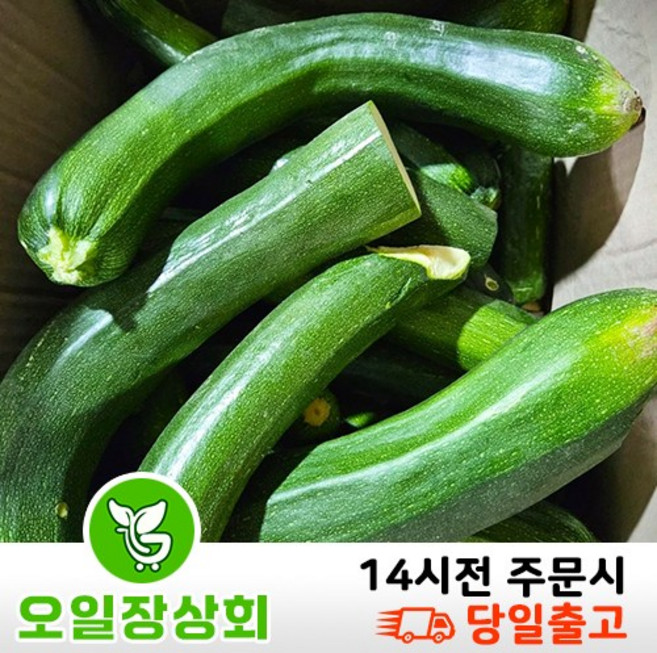 < 오일장상회 > 국내산 쥬키니호박 주키니호박 못난이호박 C등급 업소용 10kg내외, 10kg 내외 (C품), 1개