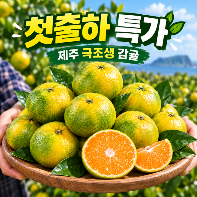 [오픈특가] 제주직송 극조생 당도선별 노지감귤, 1박스, 5kg(중대과L)