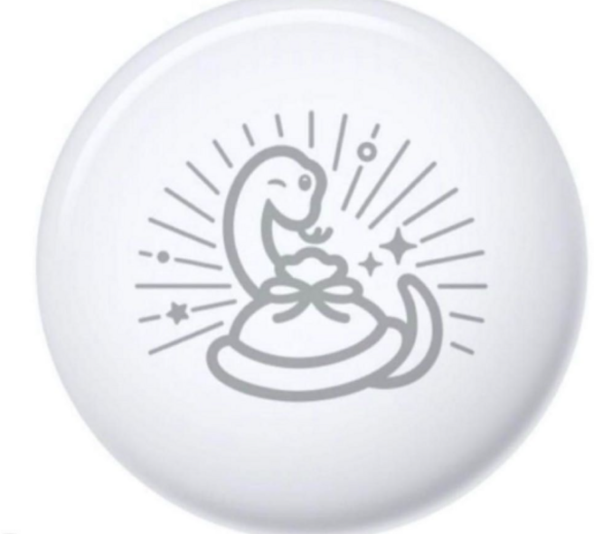 애플 에어태그 일본 AirTag Apple 뱀의해 한정모델, 특급국제배송(3~5일소요예정)