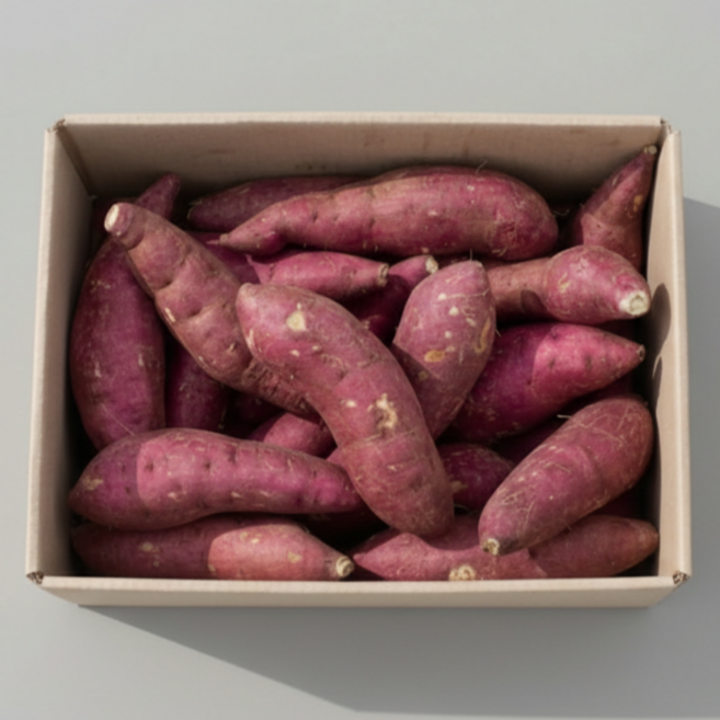 해남 못난이 고구마 꿀고구마, 1개, 10kg