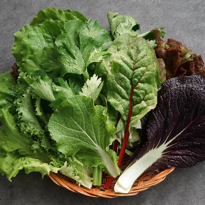 산지직송 유기농 쌈채소, 1박스, 1kg