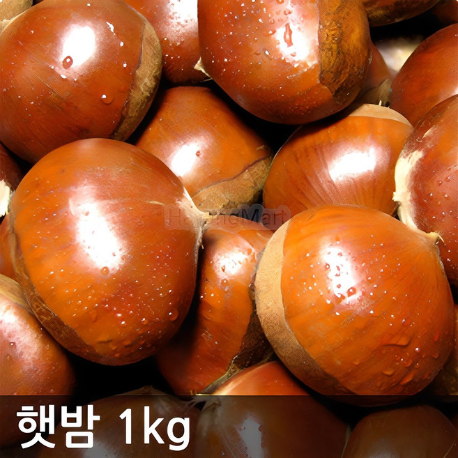2025년 햇밤 (대) 충남 공주산 알밤, 1kg, 1개