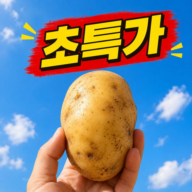 [오늘만초특가] 재구매율1위 산지직송 수미감자 햇감자, 1박스, 3kg(중)