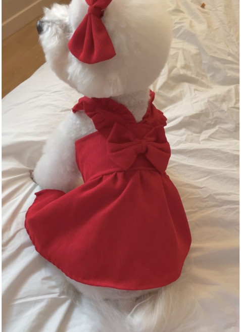 강아지 코듀로이 골덴 리본 원피스, 레드, 1개