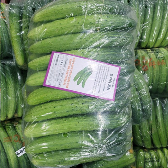 오이지오이 50개내외 피클 아삭한 오이지, 1개