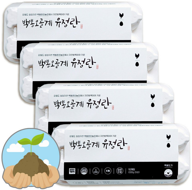 굿소일Fresh 백봉오골계 난각번호1번 무항생제 계란 유정란 40구, 10구, 4개, 10구