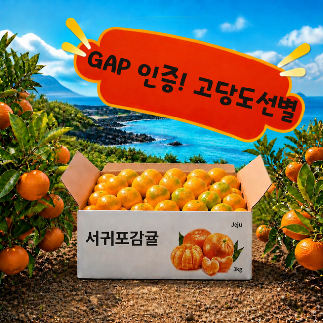 [당일출고]제주직송 고당도선별 서귀포 극조생 노지감귤 (로얄과) 3kg, 1박스