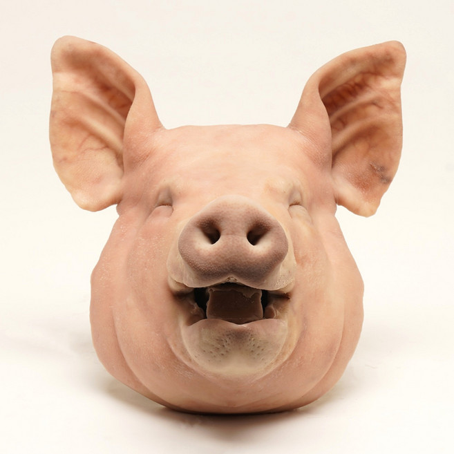 문사병 웃는 고사머리 5~7kg, 웃는 고사머리5~7kg, 1개