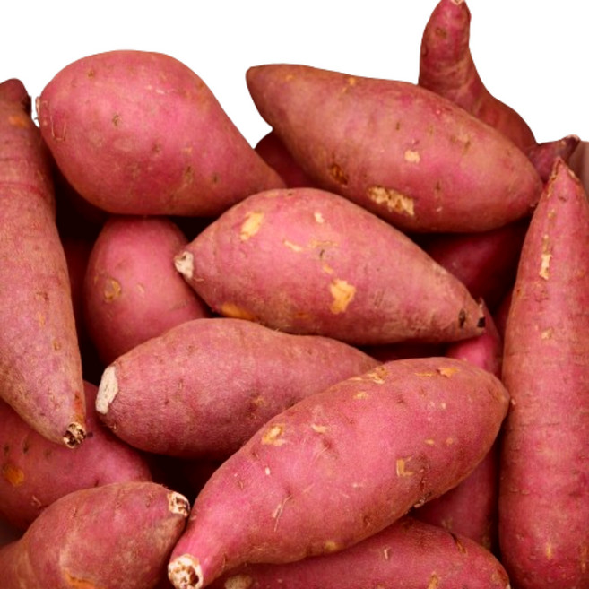 품질좋은 세척 꿀고구마, 1개, 꿀고구마3kg(중)70~100g