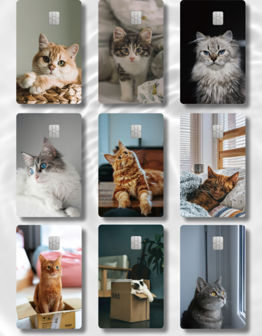 귀여운 고양이 카드스티커 1+1 신용 체크 카드 스티커 커스텀 카꾸, 무광택, 일반형, 9. 창문냥