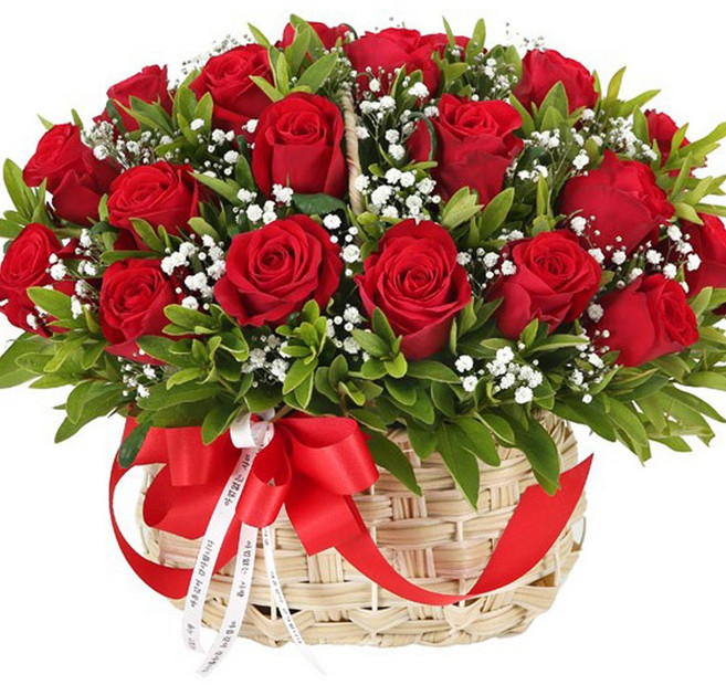 (오늘도착) 어버이날 장미 꽃바구니 부모님선물 레드장미 생화 어버이날선물 효도선물 부모님꽃선물 어버이날꽃 당일꽃배달 [ST-A2055], 1개