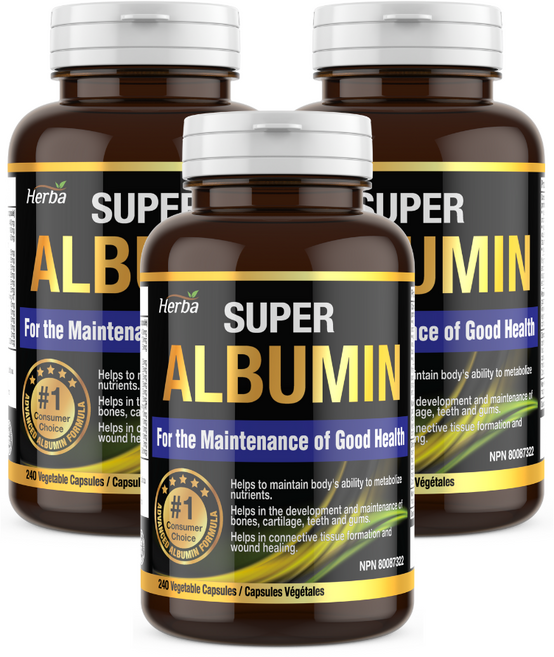 알부민 240정 고함량 슈퍼 캐나다 albumin 로얄제리 인삼 밀크씨슬 외 총 16가지 프리미엄 성분 허바 캐나다, 3개