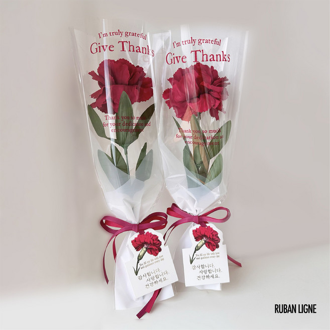 러반라인 조화 카네이션 한송이 어버이날 스승의날 꽃다발 2개, 1세트, 레드