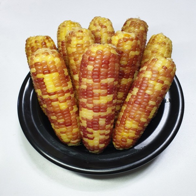 쫀득쫀득 홍찰옥수수 항산화 추천, 1박스, Red 홍찰옥수수 특대(20입)