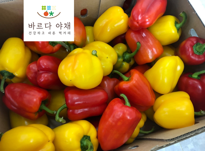 바르다야채 국산 혼합 파프리카 (빨강+노랑), 1kg, 1개