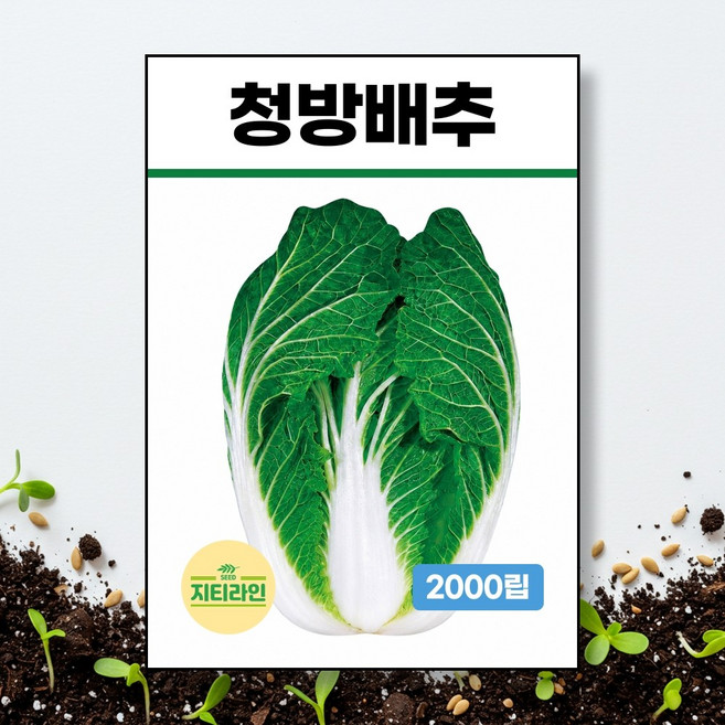 청방배추 씨앗 종자 2000립, 1개