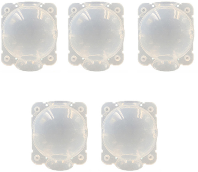 접합볼 루팅 취목 삽목 나무기지 이식, 5개, 투명