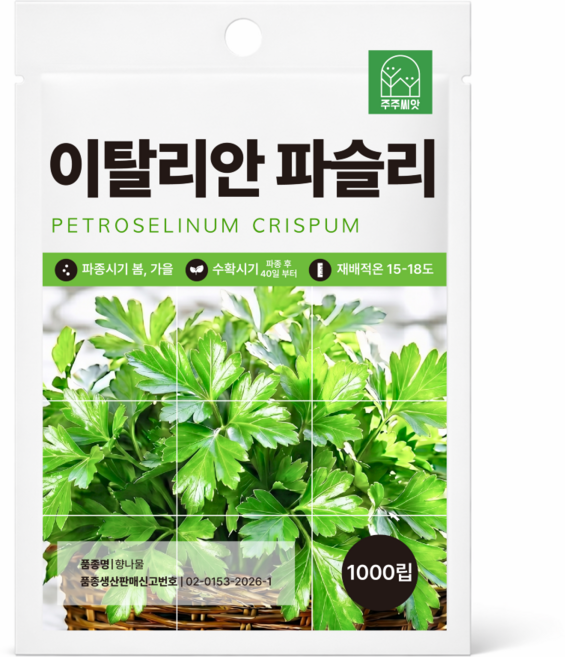 [주주씨앗] 이탈리안 파슬리 씨앗 1000립 허브채소 향나물 종자 씨앗몰, 1개