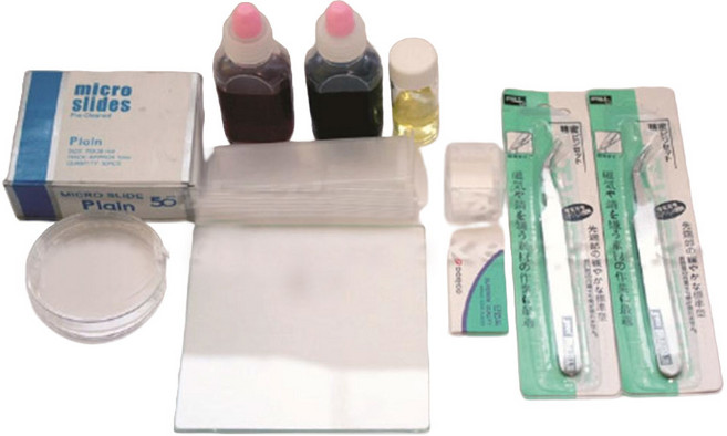 과학수업 실험기자재 세포관찰 프레파라트 제작키트 물질관찰 프레파라트제작 관찰용