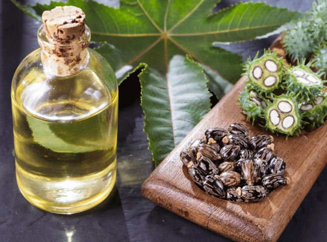 피마자기름 아주까리기름 모발마사지 피부 마사지 오일 천연 베이스오일 모든피부타입 500ml, 250ml, 1개