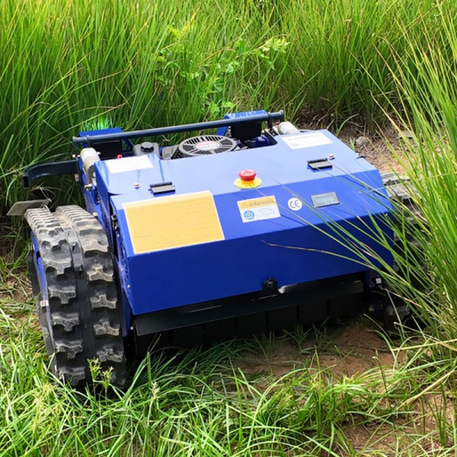 맞춤형 추적 지능형 잔디 깎는 기계 원격 제어 무선 잡초 로봇, 01 NY-550Deposit, 01 빠른